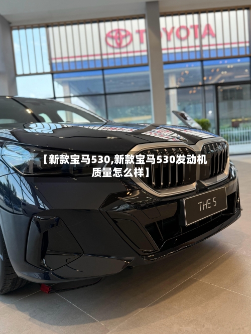 【新款宝马530,新款宝马530发动机质量怎么样】-第2张图片
