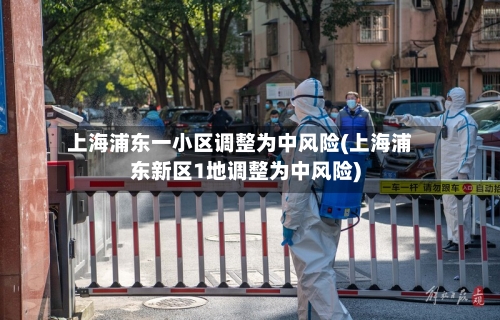 上海浦东一小区调整为中风险(上海浦东新区1地调整为中风险)