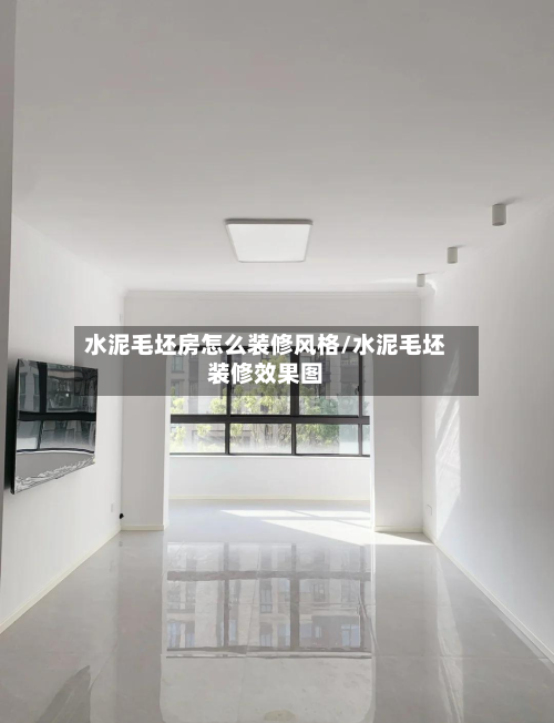 水泥毛坯房怎么装修风格/水泥毛坯装修效果图-第2张图片