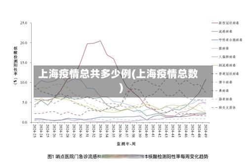 上海疫情总共多少例(上海疫情总数)-第2张图片