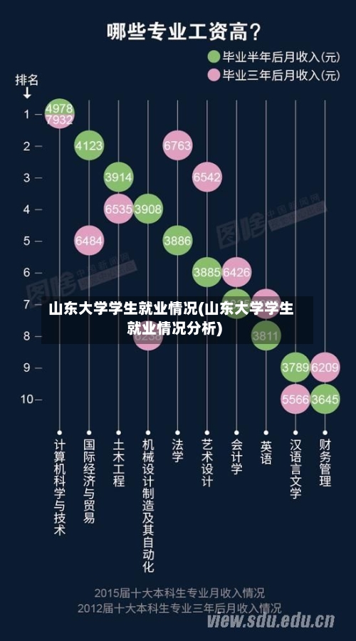 山东大学学生就业情况(山东大学学生就业情况分析)