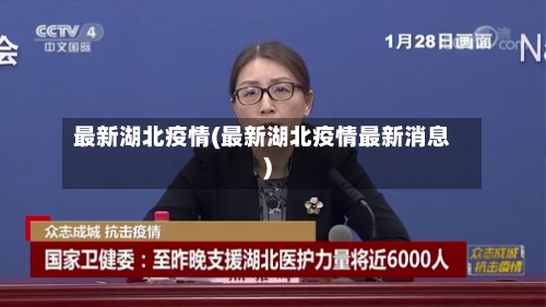 最新湖北疫情(最新湖北疫情最新消息)