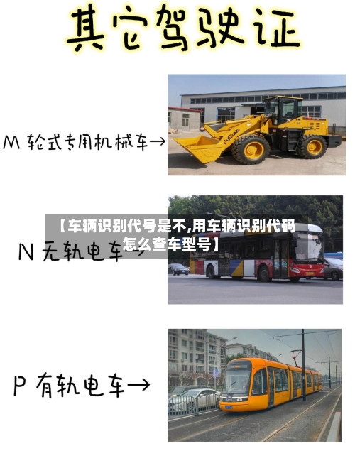 【车辆识别代号是不,用车辆识别代码怎么查车型号】-第3张图片