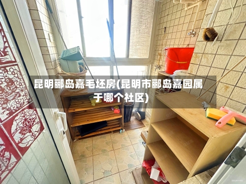 昆明郦岛嘉毛坯房(昆明市郦岛嘉园属于哪个社区)-第2张图片