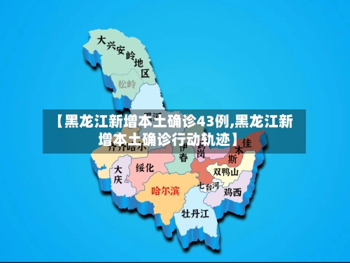 【黑龙江新增本土确诊43例,黑龙江新增本土确诊行动轨迹】