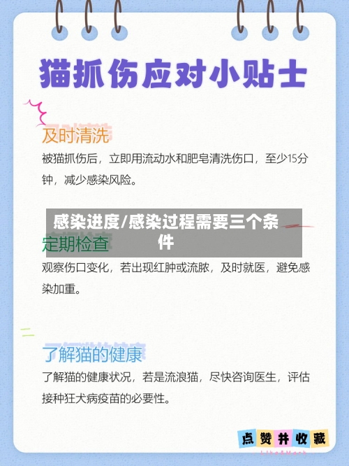 感染进度/感染过程需要三个条件