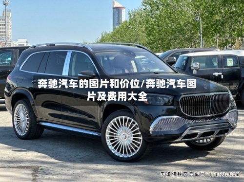 奔驰汽车的图片和价位/奔驰汽车图片及费用大全-第2张图片