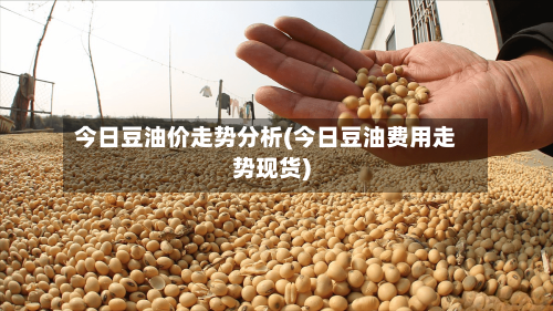 今日豆油价走势分析(今日豆油费用走势现货)-第2张图片