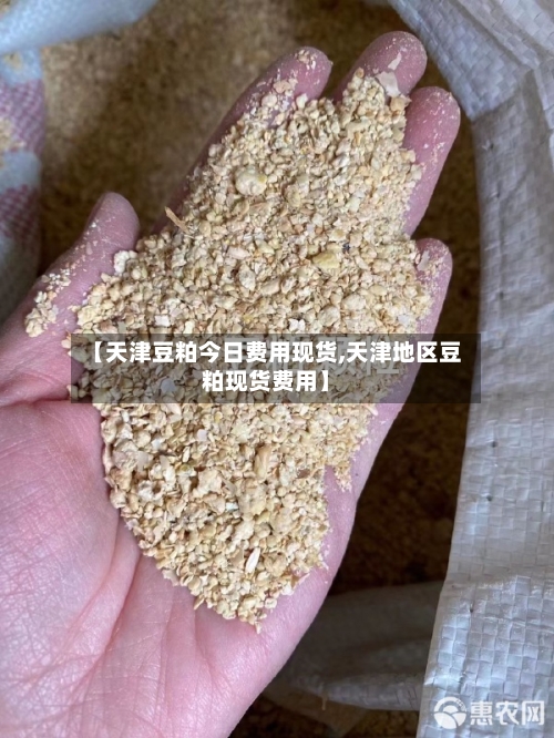 【天津豆粕今日费用现货,天津地区豆粕现货费用】