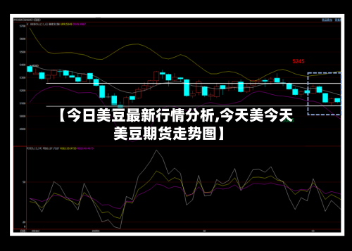 【今日美豆最新行情分析,今天美今天美豆期货走势图】-第3张图片