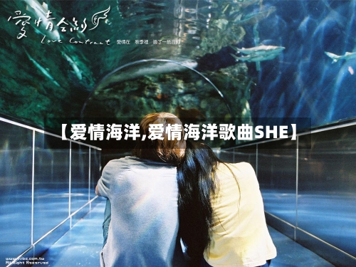 【爱情海洋,爱情海洋歌曲SHE】-第2张图片