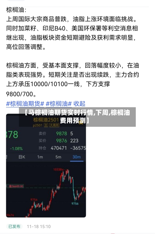 【马棕榈油期货实时行情,下周,棕榈油费用预测】