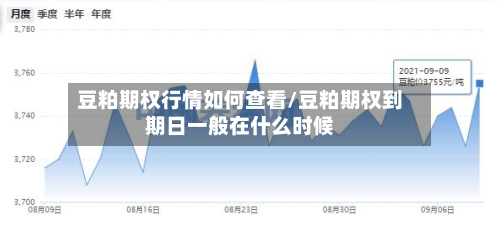 豆粕期权行情如何查看/豆粕期权到期日一般在什么时候