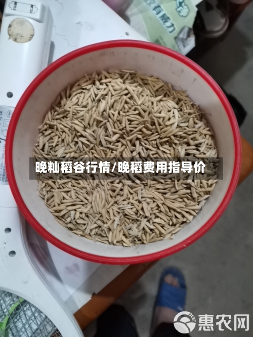 晚籼稻谷行情/晚稻费用指导价-第2张图片