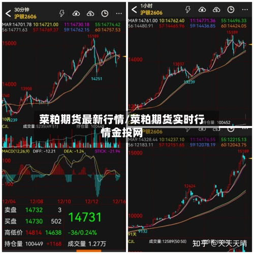 菜粕期货最新行情/菜粕期货实时行情金投网-第2张图片