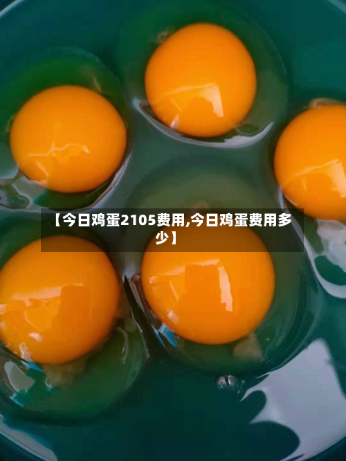 【今日鸡蛋2105费用,今日鸡蛋费用多少】