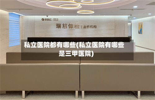 私立医院都有哪些(私立医院有哪些是三甲医院)-第2张图片