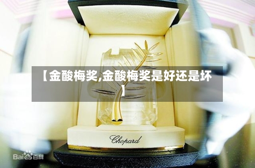 【金酸梅奖,金酸梅奖是好还是坏】