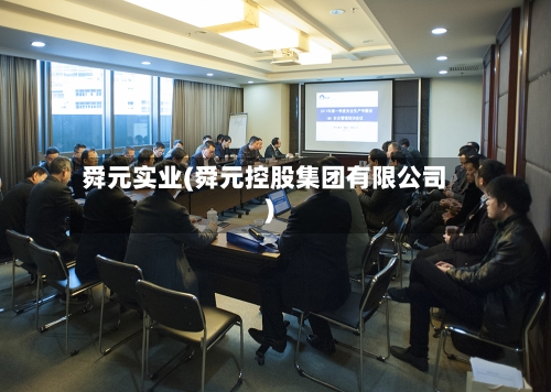 舜元实业(舜元控股集团有限公司)