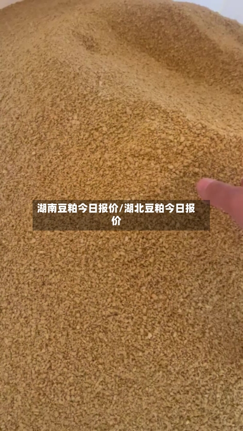 湖南豆粕今日报价/湖北豆粕今日报价