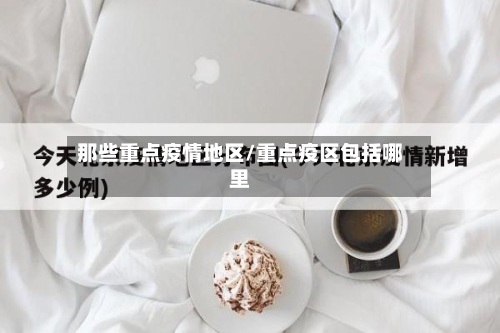 那些重点疫情地区/重点疫区包括哪里