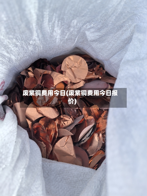 废紫铜费用今日(废紫铜费用今日报价)