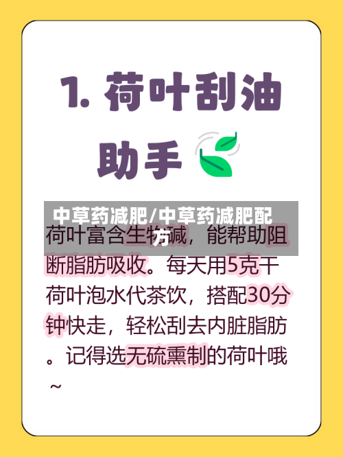 中草药减肥/中草药减肥配方