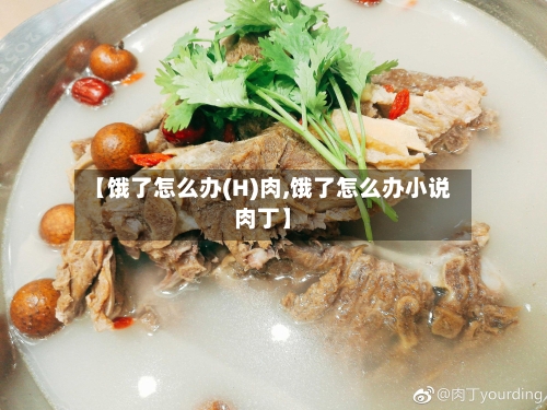【饿了怎么办(H)肉,饿了怎么办小说肉丁】-第3张图片