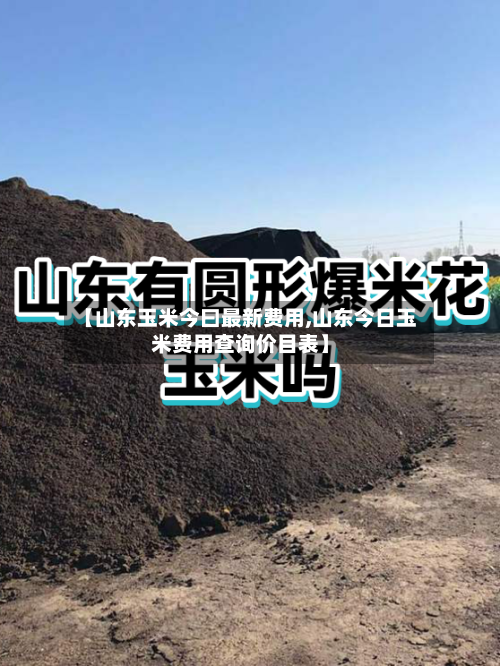 【山东玉米今曰最新费用,山东今日玉米费用查询价目表】