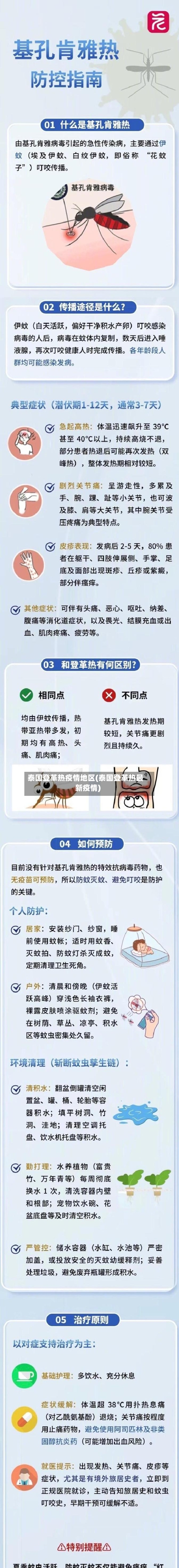 泰国登革热疫情地区(泰国登革热最新疫情)-第3张图片