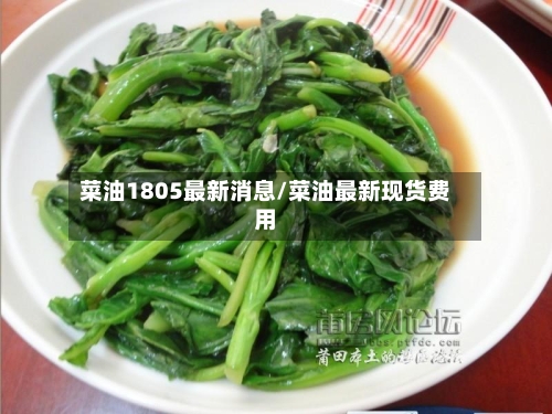 菜油1805最新消息/菜油最新现货费用