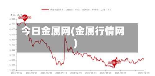今日金属网(金属行情网)