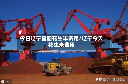 今日辽宁昌图花生米费用/辽宁今天花生米费用