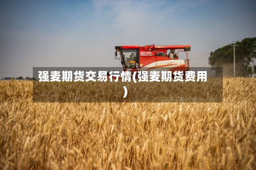 强麦期货交易行情(强麦期货费用)