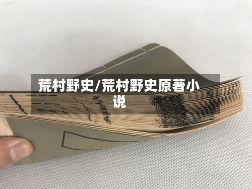 荒村野史/荒村野史原著小说