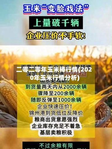 二零二零年玉米棒行情(2020年玉米行情分析)
