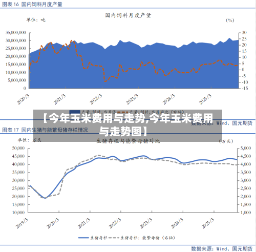 【今年玉米费用与走势,今年玉米费用与走势图】