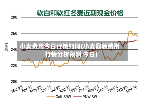 小麦费用今日行情如何(小麦最新费用行情分析预测 今日)-第2张图片