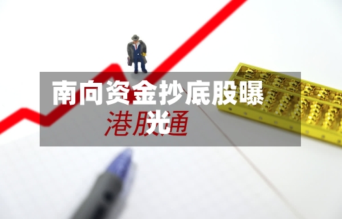 南向资金抄底股曝光