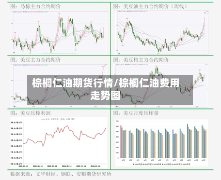 棕榈仁油期货行情/棕榈仁油费用走势图-第2张图片
