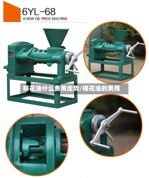 棉花油什么费用走势/棉花油的费用