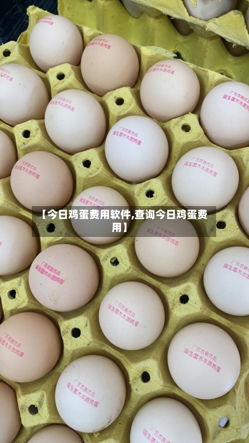 【今日鸡蛋费用软件,查询今日鸡蛋费用】