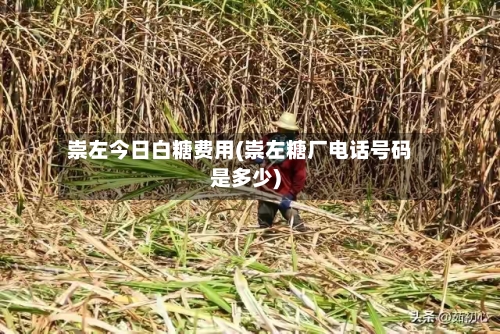 崇左今日白糖费用(崇左糖厂电话号码是多少)