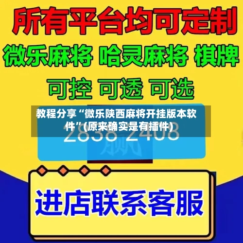 教程分享“微乐陕西麻将开挂版本软件”(原来确实是有插件)