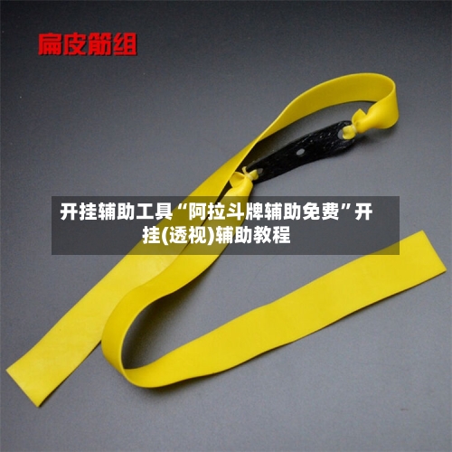 开挂辅助工具“阿拉斗牌辅助免费”开挂(透视)辅助教程-第2张图片