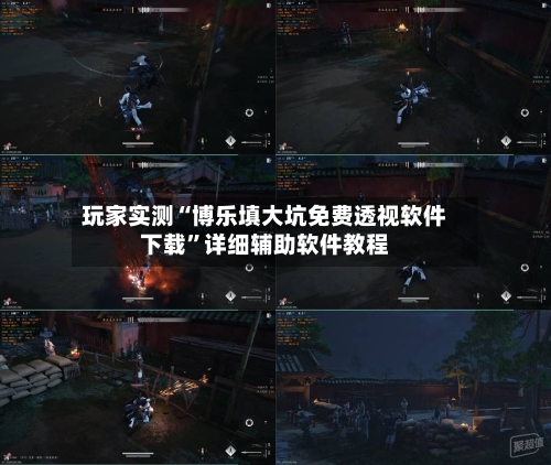 玩家实测“博乐填大坑免费透视软件下载	”详细辅助软件教程-第2张图片