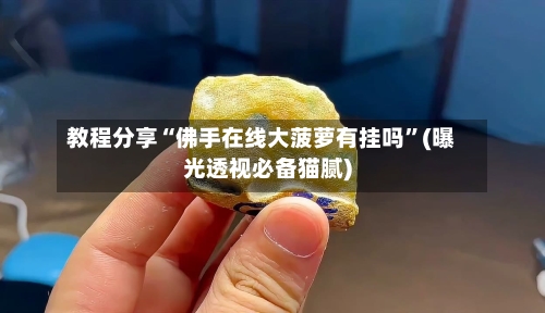 教程分享“佛手在线大菠萝有挂吗”(曝光透视必备猫腻)