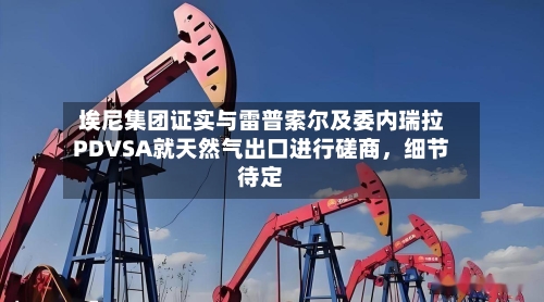 埃尼集团证实与雷普索尔及委内瑞拉PDVSA就天然气出口进行磋商，细节待定