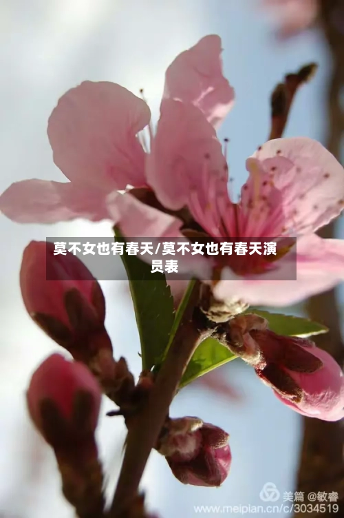 莫不女也有春天/莫不女也有春天演员表-第2张图片