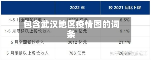 包含武汉地区疫情图的词条